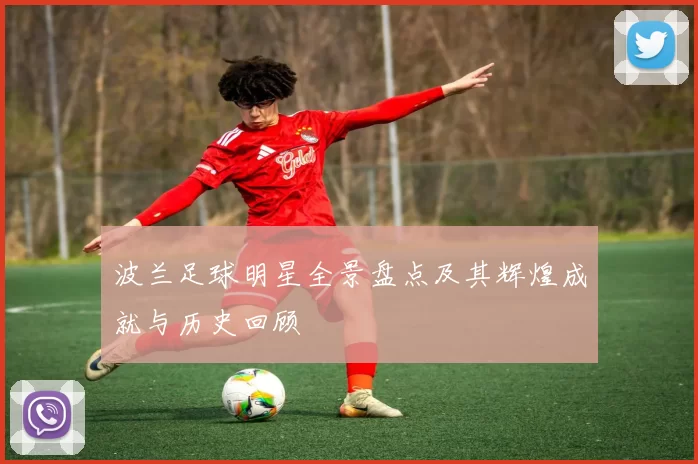 波兰足球明星全景盘点及其辉煌成就与历史回顾